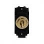 The Savoy Collection Brushed Brass 20A 2 Way Retractive LT3-Toggle Switch Module