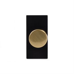 The Savoy Collection Brushed Brass 6A Dummy LT2-Dimmer Switch