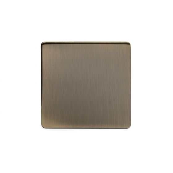 The Charterhouse Collection Aged Brass metal Single Blanking Plate