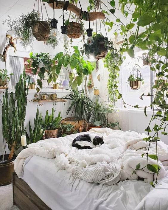 biophilic bedroom design